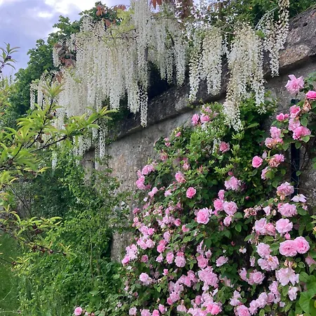 Maison De Avec Piscine Chauffee, Jacuzzi Et Jardin Prive - Proche Circuit Des 24h Du Mans