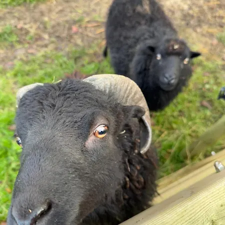 Vila Maison De Avec Piscine Chauffee, Jacuzzi Et Jardin Prive - Proche Circuit Des 24h Du Mans *