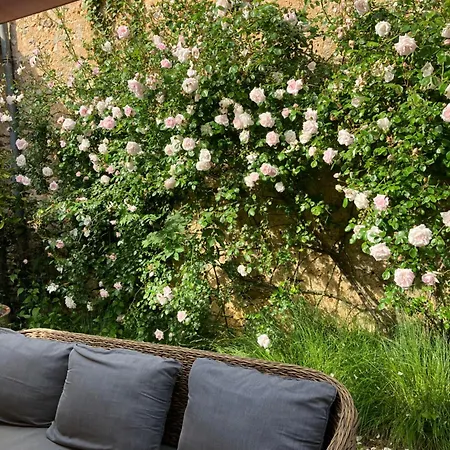 Villa Maison De Avec Piscine Chauffee, Jacuzzi Et Jardin Prive - Proche Circuit Des 24h Du Mans Saint-Christophe-en-Champagne