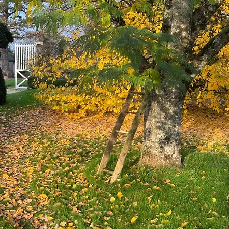 Maison De Avec Piscine Chauffee, Jacuzzi Et Jardin Prive - Proche Circuit Des 24h Du Mans *