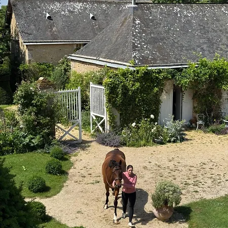 Maison De Avec Piscine Chauffee, Jacuzzi Et Jardin Prive - Proche Circuit Des 24h Du Mans Saint-Christophe-en-Champagne