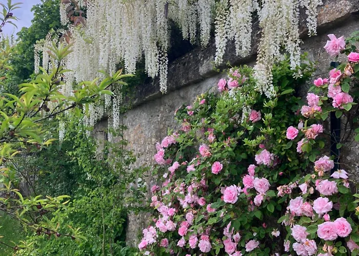 Maison De Avec Piscine Chauffee, Jacuzzi Et Jardin Prive - Proche Circuit Des 24h Du Mans
