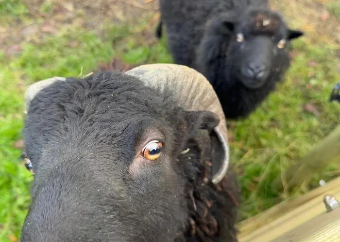 Βίλα Maison De Avec Piscine Chauffee, Jacuzzi Et Jardin Prive - Proche Circuit Des 24h Du Mans *