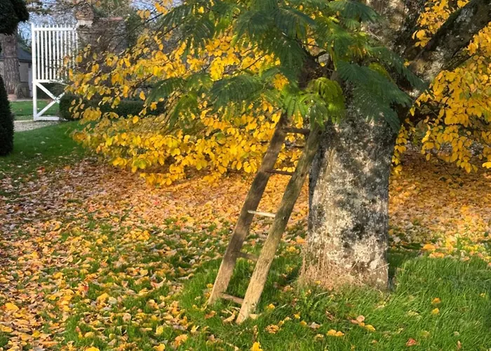 Maison De Avec Piscine Chauffee, Jacuzzi Et Jardin Prive - Proche Circuit Des 24h Du Mans *