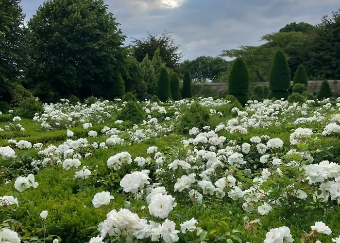 Maison De Avec Piscine Chauffee, Jacuzzi Et Jardin Prive - Proche Circuit Des 24h Du Mans *